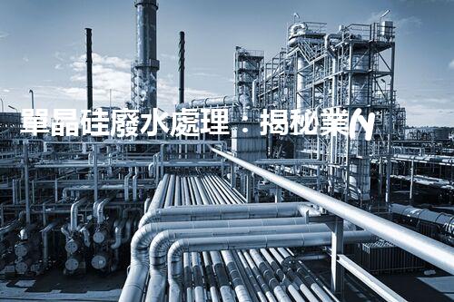 單晶硅廢水處理：揭秘業(yè)內(nèi)領(lǐng)先的技術(shù)和創(chuàng)新方法？